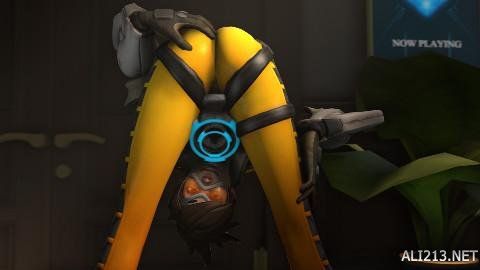 甲俱乐部的 甲俱乐部的